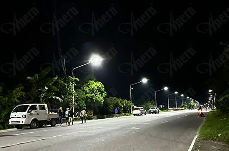 300 conjuntos de SLZ Solar Street Lighting Project en Filipinas